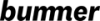 _BummerXuperLogo_100x75.png